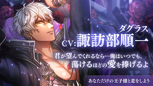 夢王国と眠れる100人の王子様 PC版