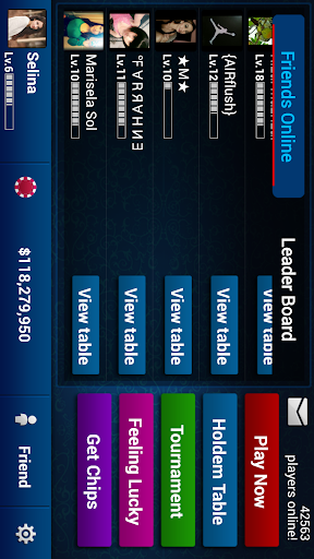 Texas Holdem Poker Pro PC