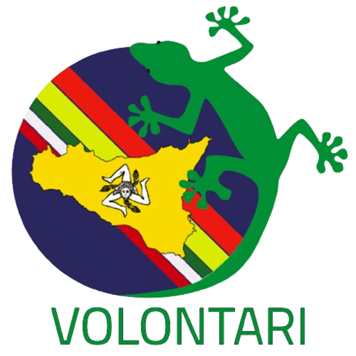 GECoS Volontari PC