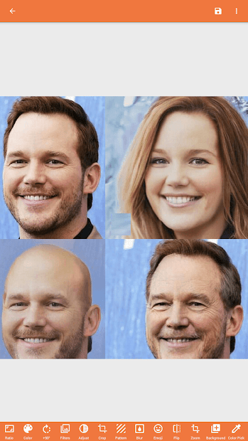 Face App: Gender Changer PC