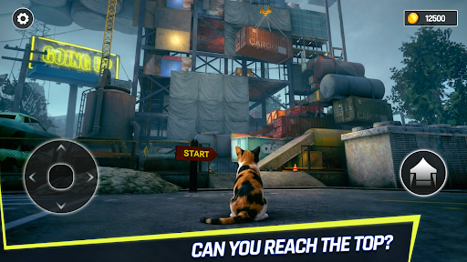 Going Up Cat Runner 3D پی سی