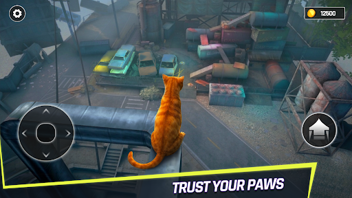 Going Up Cat Runner 3D پی سی