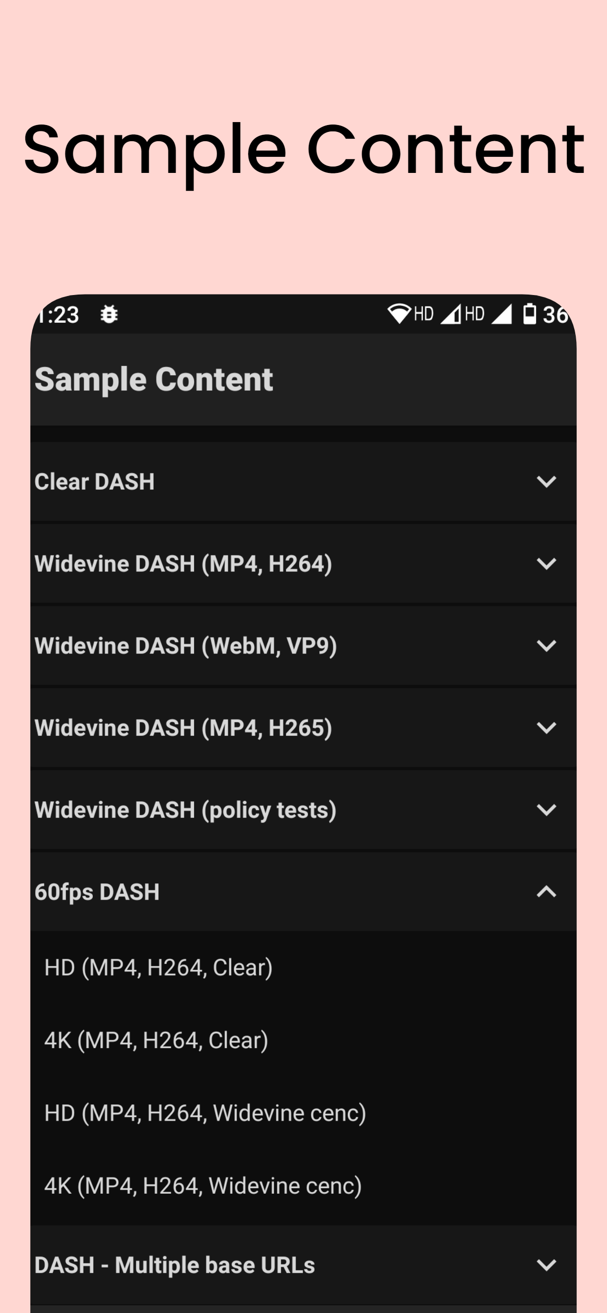 Network Stream (Video) Player PC