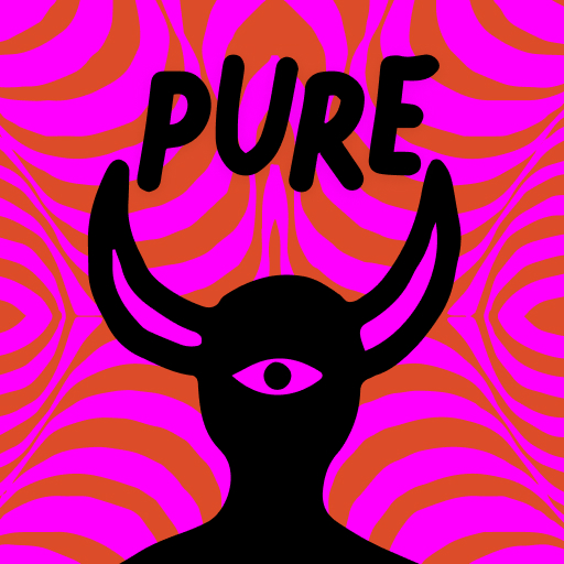 PURE: Anonymes Dating & Chat PC