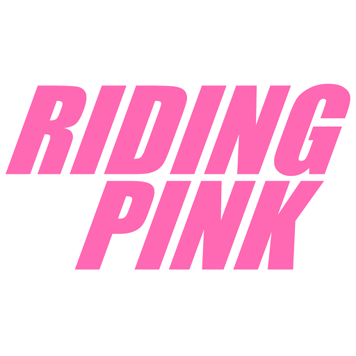 Riding Pink Passenger电脑版