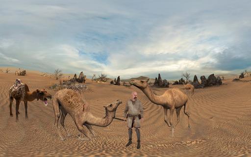 Camel Attack Fighting پی سی