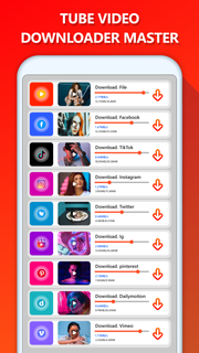 Tube Video Downloader Master PC