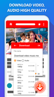 Tube Video Downloader Master PC