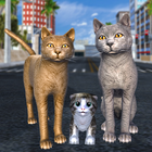 Cat Family Simulator Game PC