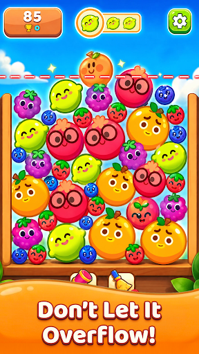 Fruit Merge Drop PC