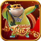 Fortune Tiger Travel PC