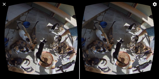 GizmoVR Lite: 360 Video & Tube