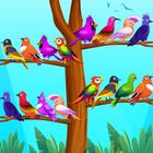 Color Bird Sort Puzzle Games PC
