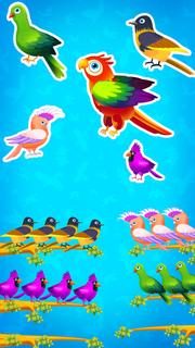 Color Bird Sort Puzzle Games PC