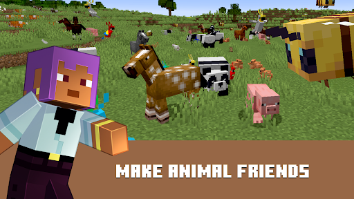 Minecraft: Dream it, Build it!电脑版