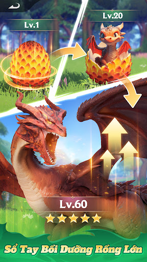 Long Ngữ Sương Thành-Gamota