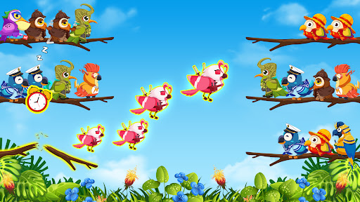 Tri d'Oiseaux 2 Puzzle Couleur PC