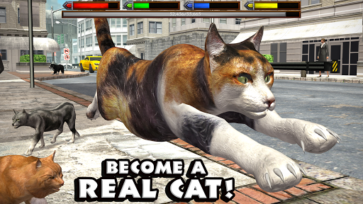 Ultimate Cat Simulator PC