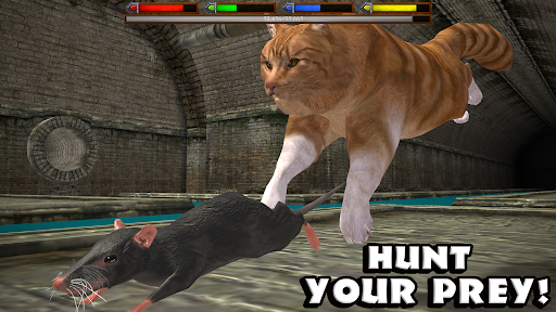 Ultimate Cat Simulator PC