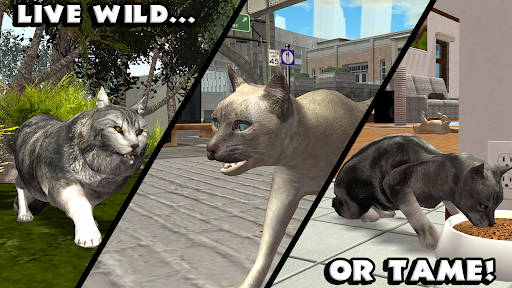 Ultimate Cat Simulator PC