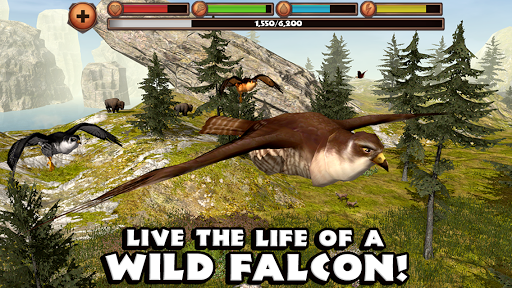 Falcon Simulator PC