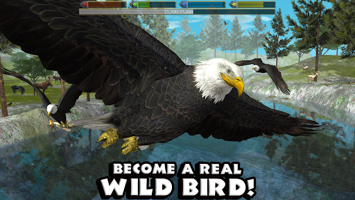 Ultimate Bird Simulator PC