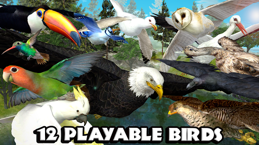 Ultimate Bird Simulator PC