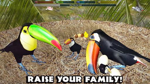 Ultimate Bird Simulator PC