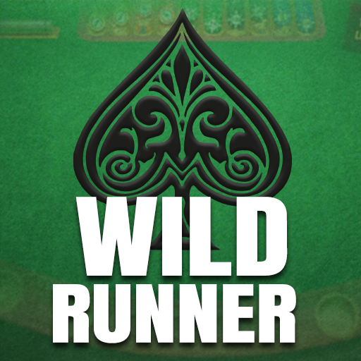 Wild Runner PC
