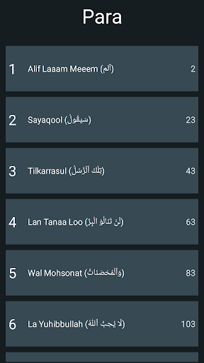 15 Lines Hefz/ Hafezi Quran পিসি