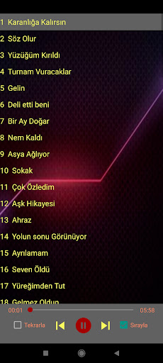 Türküler-80 internetsiz  2022 PC