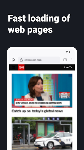 Browser web Internet - ZEUS