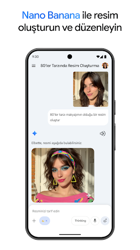 Google Gemini