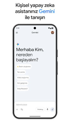 Google Gemini