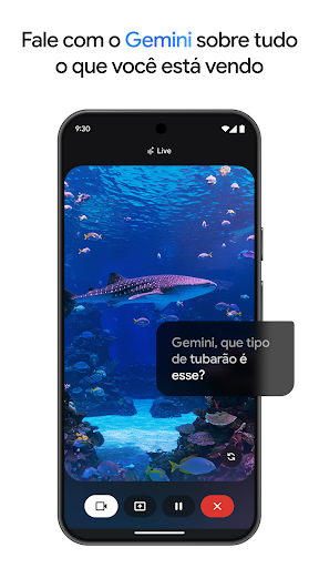 Google Gemini para PC