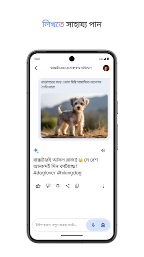 Google Gemini পিসি