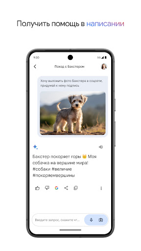 Google Gemini ПК