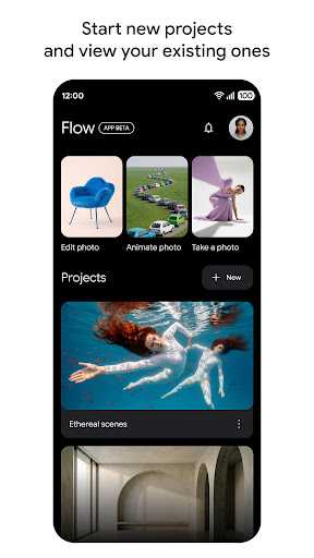 Google Flow Beta PC