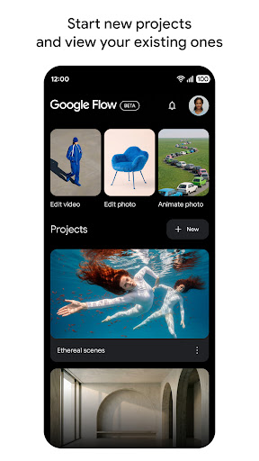 Google Flow Beta