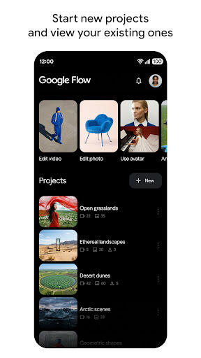 Google Flow