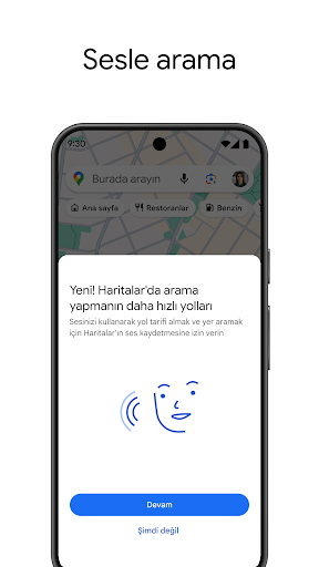 Google Haritalar PC