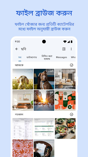 Files by Google পিসি