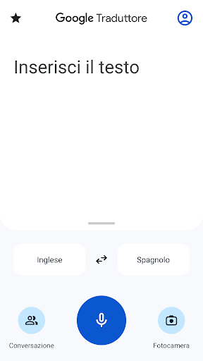 Google Traduttore PC