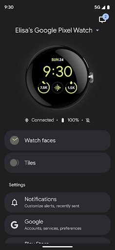 Google Pixel Watch PC