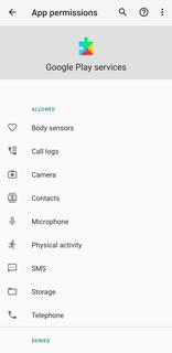 Google Play hizmetleri PC