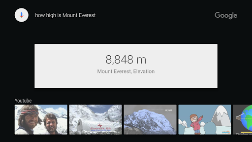 Google app for Android TV