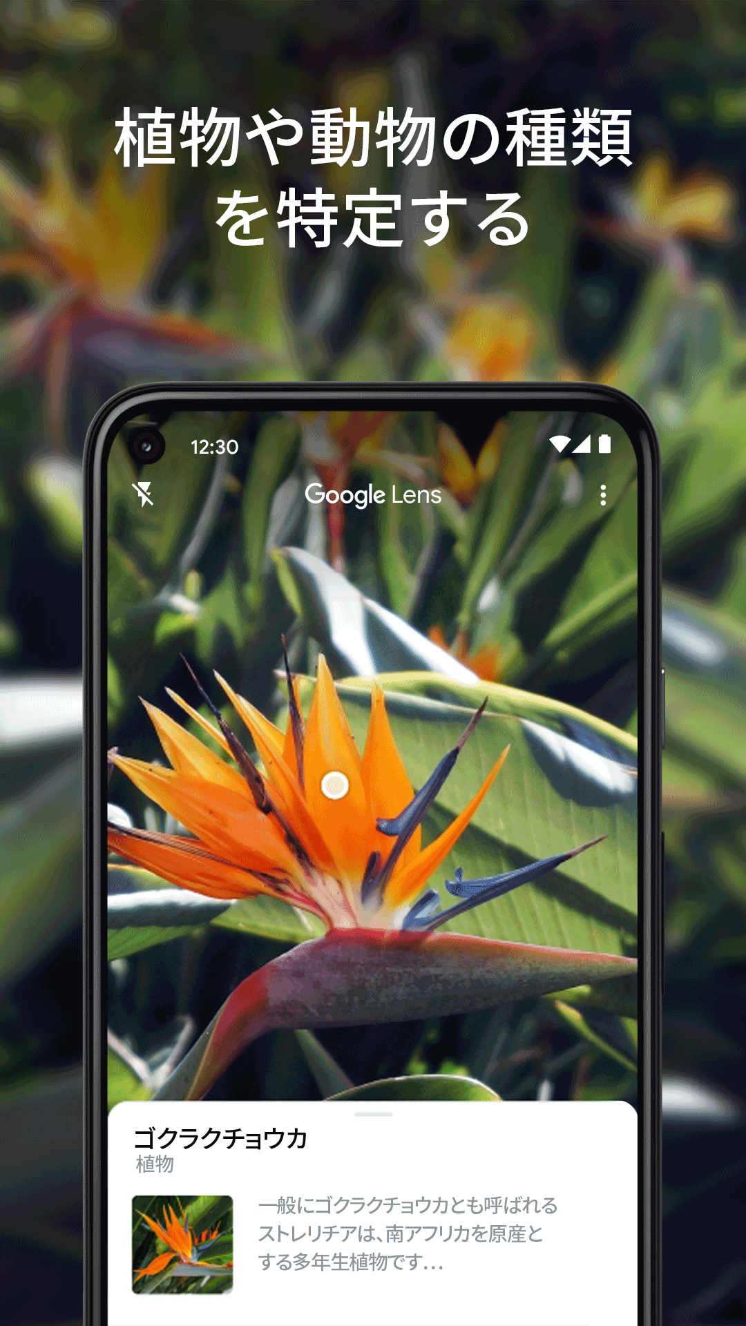 Google レンズ PC版