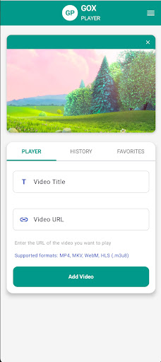 Gox Player PC