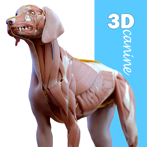 Complete Canine 3D - anatomy para PC