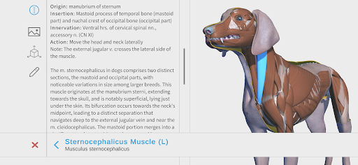 Complete Canine 3D - anatomy para PC